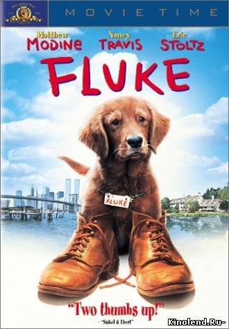 Смотреть Флюк / Fluke (1995) фильм онлайн